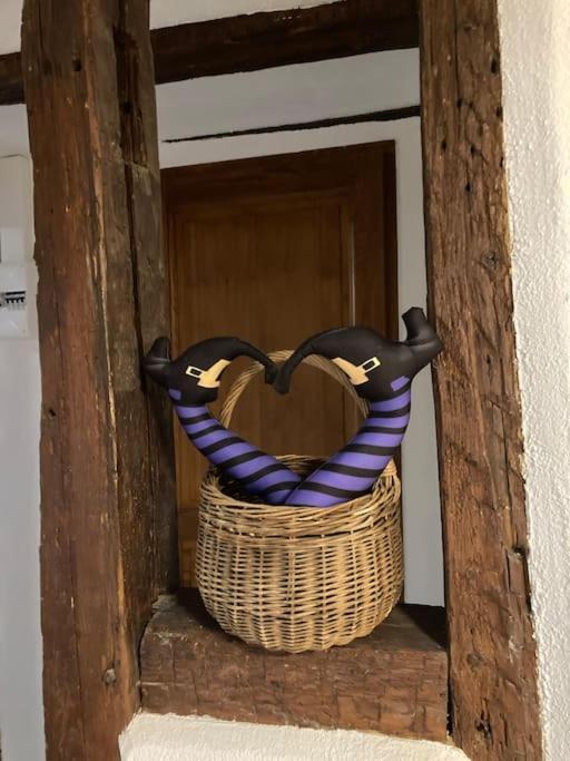 Apartamento La Sorciere In A Typical Alsatian House Rouffach Exterior foto